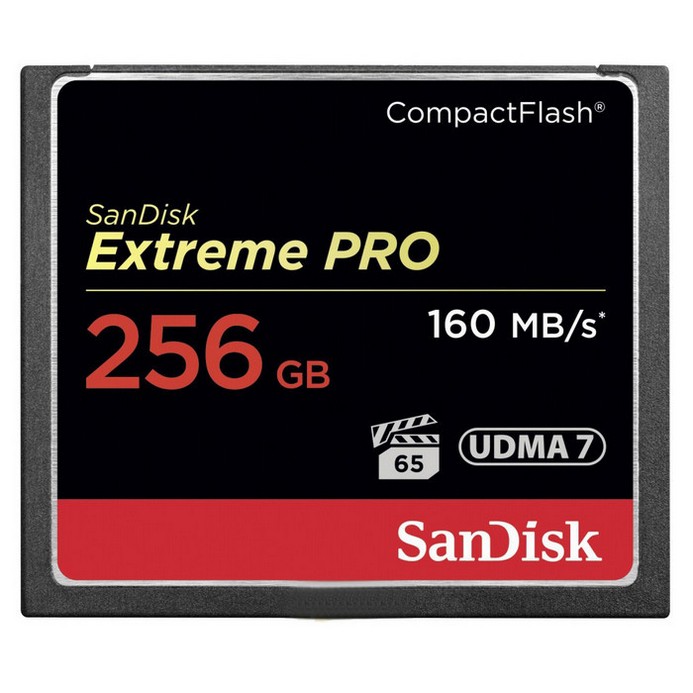 Карта памяти SanDisk CF 256Гб Extreme PRO